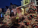 YIQU 2-Pack 66FT C9 Christmas String Lights Outdoor, 100LED Waterproof Green Wire Plug in Led Fairy String Lights for Xmas Tree Indoor Garden Patio Wedding Party Decoration (Red and White) by GreenHaven Gardens