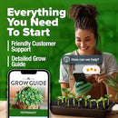 HOME GROWN Peppermint Seeds 2 Pack (Mentha × piperita) – 4,740 Heirloom Mint Seeds for Planting – 𝗡𝗢𝗡-𝗚𝗠𝗢, 𝗨𝗦𝗔-𝗦𝗢𝗨𝗥𝗖𝗘𝗗 – Grow Indoors or Outdoors, Kitchen Herb Garden Favorite by GreenHaven Gardens
