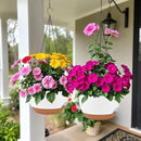 2 Pack Hanging Planters for Indoor Outdoor Plants, 12 Inch Self Watering Hanging Pot with Drainage Holes and Saucer, Plastic Plant Pots, White Brown Flower Pots for Kitchen, Balcony, Garden by CozyNest Decor
