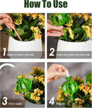 NiHome Cactus-Shaped Glass Plant Self-Watering Globes 6-Pack, Glass Waterer Stakes for Potted Plants, Automatic Mini Irrigation System, Adorable Gardening Tool (Green, 3 Large + 3 Medium) by GreenHaven Gardens