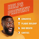 TheraBreath Healthy Gums Toothpaste, Fights Bad Breath for 12 Hours, with Stannous Fluoride for Anticavity & Gingivitis Protection, Clean Mint, 4 Oz, 2-Pack by CozyNest Decor