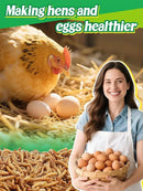 Mealworms Chicken Treats 3 Lbs with Handle Packing, High-Protein Promote Egg Production, Natural Chicken Feed for Laying Hens Wild Birds Ducks by GreenHaven Gardens