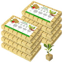 VIVOSUN 1.6 Inch Rockwool Cubes, Grow Cubes for Hydroponics, Cuttings, Cloning, Plant Propagation, Seed Startling, 8 Sheets 224 Plugs by GreenHaven Gardens