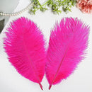 THARAHT Hot Pink Ostrich Feathers 24pcs Natural Bulk 10-12Inch 25cm-30cm for Crafts Wedding Party Centerpieces Easter Gatsbi and Home Decoration Feathers by CozyNest Decor