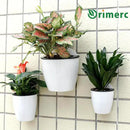 3 Pack Self Watering Wall Hanging Planter Pots Vertical Garden Window Hang Mount Indoor Outdoor Plant Flower Basket for Kitchen Herbs Balcony Railing Shelf Fence Bedroom Trellis Decor Modern White Box by CozyNest Decor