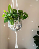 Hanging Disco Ball Planter 8" - with Acrylic Stand and Macrame Plant Hanger - Home Décor, Room Décor, Patio or Boho Décor, Mirror Disco Planter, Disco Decor (8" No Base) by GreenHaven Gardens