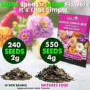NatureZ Edge Zinnia Seeds for 2025 Planting Outdoors, Over 550 Flower Seeds, 4g, Non GMO Made in USA, Bulk Semillas De Flores para Sembrar, Dahlia Mix, Easy to Grow Zinnia Seed Mix by GreenHaven Gardens