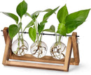 YIBOT Plants Propagation Stations,Desk Plant Terrarium with Retro Wooden Stand,Plant Lover Gifts for Women for Hydroponics Plants Home Garden Wedding Decor(3 Bulb Vase) by GreenHaven Gardens
