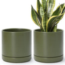 D'vine Dev Set of 2 Plants Pots, 6.5 Inch Ceramic Planter Pot for Plants with Drainage Hole and Saucer, Olive, 94-V-C-J by GreenHaven Gardens