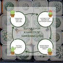 10QT Horticultural Perlite Bulk, Organic Perlite for Plants, Course Perlite for Gardening, for Plants Indoor, for Houseplants, to Promotes Soil Root Growth, and Water Drainage and Plant Growth(3-6mm) by GreenHaven Gardens