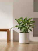 LE TAUCI 12 Inch Pot for Plants, Ceramic Large Planter for Indoor Plants, Mid-Century Modern Flower Pots with Drainage Hole and Removable Plug, White by CozyNest Decor