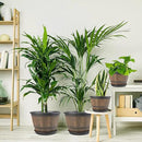 16-inch-Plant-Pots-Indoor-Outdoor, 4 Pack Large Whiskey Barrel Planters with Drainage Holes & Saucer, Plastic Flower Pots Imitation Wine Barrel Design, Decorative Garden Pots for Plants by CozyNest Decor