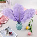 THARAHT Lavender Ostrich Feathers 24pcs Natural Bulk 10-12Inch 25cm-30cm for Crafts Wedding Party Centerpieces Easter Gatsbi and Decoration Feather by CozyNest Decor