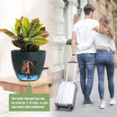 10/9/8 inch Self Watering Pots, Set of 3 Plastic Planters with Mesh Drainage Holes and Deep Reservoir for Indoor Outdoor Garden Plants and Flowers, Black with Green Speckles by GreenHaven Gardens