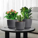 10/9/8 inch Medium Plant Pots, 3 Pack Modern Decorative Plastic Planters with Drainage Holes and Saucers, Flower Pots for Indoor Outdoor Plants, Black by CozyNest Decor