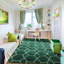 ONASAR Area Rugs for Living Room Bedroom, 5x8 Washable Fluffy Dark Green and White Rug, Geometric Boho Soft Plush Shaggy Fuzzy Floor Carpet for Nursery Kids Girls Boys Teen Dorm Home Decor Aesthetic by TinyTreasures Baby Boutique