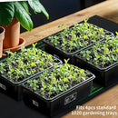 48"x20" Seedling Heat Mat with Digital Thermostat Combo Set,ETL Certified and Durable Waterproof Warm Hydroponic Heat Mat for Germination,Indoor Gardening,Brewing and Greenhouses by GreenHaven Gardens