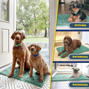 Muddy Mat® 4-Piece Seafoam Green Medium 30"X19" AS-SEEN-ON-TV Highly Absorbent Microfiber Door Mat, Bath Mat and Pet Rug, Non Slip Thick Washable, Soft Chenille for Kitchen Bedroom Indoor and Outdoor by CozyNest Decor