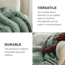 Bedsure GentleSoft Fluffy Sage Green Blankets Queen Size for Bed, Thick Sherpa Faux Fur Fleece Fuzzy Plush Winter Warm Soft Queen Blankets, Bedroom Decor Sage Green Cozy Gifts for Women Men, 90x90 by CozyNest Decor