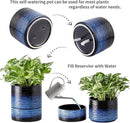 Nihow Self Watering Plant Pot: 6 Inch Ceramic Planter with Drainage Hole & Water Storage Plus for Indoor & Outdoor Plants - Cylinder Round Flower Pot for Succulent/Herbs/Violets - Black & Vivid Blue by GreenHaven Gardens