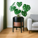 D'vine Dev Ceramic Planter with Ebony Stand - 12 Inch Modern Round Flower Pot with Wood Planter Holder, Black/Speckled Tan, 55-B-H-7 by CozyNest Decor