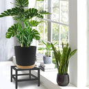 Plant Stand Indoor Outdoor, 3 Pcs Heavy Duty Plant Stands Metal Pedestal Stand for Indoor Outdoor, Wrought Iron Flower Stand Display Planter Shelf for Garden Deck Living Room by GreenHaven Gardens
