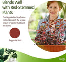 Stackable Plant Support Stakes, Stem Holder Structures for Indoor & Outdoor Use, Garden Accessories for Climbing & Potted Plants, Trellis Alternative - Begonia Red, 3 Pack, 17" L by GreenHaven Gardens