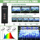 2 Pack Seed Starter Tray with Grow Light High Dome Seed Germination Kit 80 Cells with 4 LED Grow Lights Seedling Starter Kit with Smart Timer and 3 Modes for Home Gardeners, Indoor Greenhouse by GreenHaven Gardens