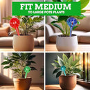 Besti Self-Watering Globes – 4-Pack Extra Large Watering Globes for Plants – Automatic Watering System for Potted Plants – Holds 380-400ml, Waters Plants Up to 2 Weeks (Set of 4 Extra Large) by GreenHaven Gardens