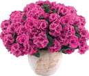 Hananona 12 Pcs Artificial Geranium Flowers for Outdoors Geranium Silk Flowers Outdoor UV Resistant Garden Plants Faux Flowers for Ptio Front Door Kitchen Table Centerpieces Home Decor (12, Rose Red) by CozyNest Decor