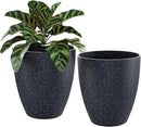 QCQHDU Plant Pots Set of 2 Pack,10 Inch Plant Pot for Indoor and Outdoor Plants with Drainage Hole,Flower Pots Modern Decorative Planter for Garden Plants (Black) by GreenHaven Gardens