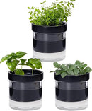 Phoenix Vine 4 Inch Self Watering Planter Pot, Black Terracotta Clay Pot with Glass Reservoir for Indoor Plants, Herbs, Flowers, Set of 3, 52-C-E-3 by GreenHaven Gardens