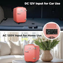 IBMF4BLS Fridge for Bedroom, Skincare, Portable Cooler & Warmer for Makeup, for Office & Home Refrigerator, Mini (4 L / 6-Can), Blush Red by CozyNest Decor