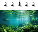 Under The Sea Fish Tank Background Aquatic Plants Deep Sea Aquarium Background Underwater Sunray Rock with Moss Terrarium Backgrounds Deep Ocean Floor Tropical Fish Tank Backgrounds 72x16in by GreenHaven Gardens