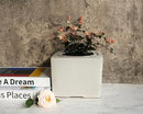 2-Pack Ceramic African Violet Self Watering Pot 6 Inch Square Pot 3.5 Inch Innter Pot Easy Fill Water Reservoir White by GreenHaven Gardens