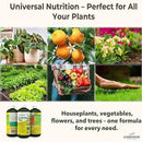 10-10-10 Fertilizer for All Purpose Plants - Liquid Fertilizer with Seaweed Kelp & Iron - Plant Food Outdoor & Indoor Plant Food, Vegetables,Flowers, Lawn & Garden 10 10 10 Fertilizer 16 oz by GreenHaven Gardens