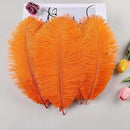 THARAHT Orange Ostrich Feathers 24pcs Natural Bulk 8-10Inch 20cm-25cm for Crafts Wedding Party Centerpieces Halloween and Home Decoration Feathers by CozyNest Decor
