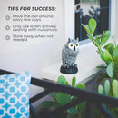 Galashield Owl Decoy to Scare Birds Away | Plastic Owls to Scare Birds Away | Owl Statue for Garden & Outdoors [Set of 2] by GreenHaven Gardens