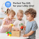 Bimi Boo Wooden Shape Sorter Toy for Babies - Premium Simple Sorting Box with Noise-Reducing Silicone Pad - Classic Montessori Toy for Toddlers (8 Various Blocks, 1 Box, 1 Silicone Pad) by TinyTreasures Baby Boutique