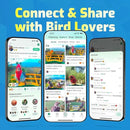 Smart Bird Feeder with Camera, Seamlessly Integrated Solar Panel Birdwatching Camera with SD Card, Lifetime Free AI Identify Bird Species&Auto Video Capture, House Warming Gifts with Greeting Card by CozyNest Decor