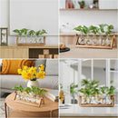 YIBOT Propagation Stations,Plant Terrarium with Wooden Stand,Plant Lover Gifts for Women for Hydroponics Plants Home Garden Wedding Decor(5 Bulb Vase) by CozyNest Decor