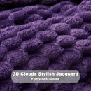 NEWCOSPLAY Super Soft King Blanket Purple Premium Silky Flannel Fleece 3D Clouds Stylish Jacquard Lightweight Bed Blanket All Season Use 350GSM (Purple, King(90"x110")) by CozyNest Decor