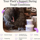 Grubbly Farms Prebiotics + Probiotics for Chickens (30 Day) by GreenHaven Gardens