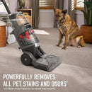 Hoover SmartWash Pet XL Upright Carpet Cleaner Machine for Carpet and Upholstery, Automatic Deep Cleaning Carpet Shampooer, Converts to Spot Cleaner, Pair with Hoover Carpet Cleaner Solution by CozyNest Decor