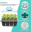 Seed Starter Tray with Grow Light, Seed Starter Kit, Plant Germination Starting Trays with Humidity Dome and Base for Greenhouse Grow Wheatgrass Hydroponic(12 Cells per Tray)(with Grow Lights) by GreenHaven Gardens