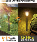 AOSEA Solar Outdoor Lights, IP 65 Waterproof Solar Powered Driveway Lights, Auto On/Off Path Landscape Lighting for Yard, Patio, Landscape, Pathway, Warm White(2 Pack) by GreenHaven Gardens