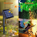 QITONG 4 Pack Solar Fairy Lights Warm White, Each 33ft 100 LED Outdoor String Light, 8 Modes Copper Wire Lights for Outside Tree Wedding Party Garden Patio Christmas by GreenHaven Gardens