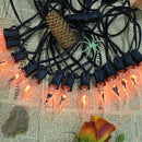 27.8Ft Halloween Decorations Flickering Flame String Lights with 29 Pack Clear Glass Flame Light Bulbs (4 Spare), E12 Base, Great for Christmas Halloween Indoor Outdoor Home Party Decor, Black Wire by GreenHaven Gardens