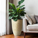 Worth 9 Gallon Tall Round Planters Set of 2-14" Dia x 21" H Stone Finish Flower Pots Indoor Decorative Container Garden Patio Unbreakable Beige by CozyNest Decor