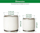 D'vine Dev 6 Inch 4 Inch Ceramic Indoor Planter Pots with Drainage Hole and Saucer, Beaded Design Flower Pots, Set of 2, Smoked White, 27-D-U-1 by GreenHaven Gardens